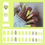 Set moyen n°31