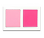 Duo Blush/Crème