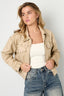 Tissu Polyester Fibre Veste Femme Style Urbain Élégant Spécialité Couleur Unie Automne/Hiver